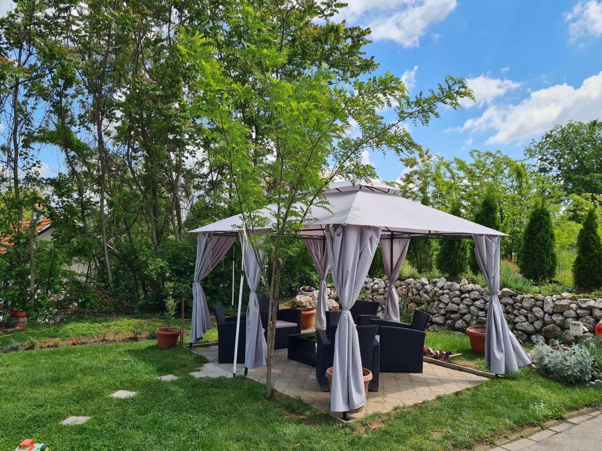 Vila Dincic Veliko Gradište Exterior foto