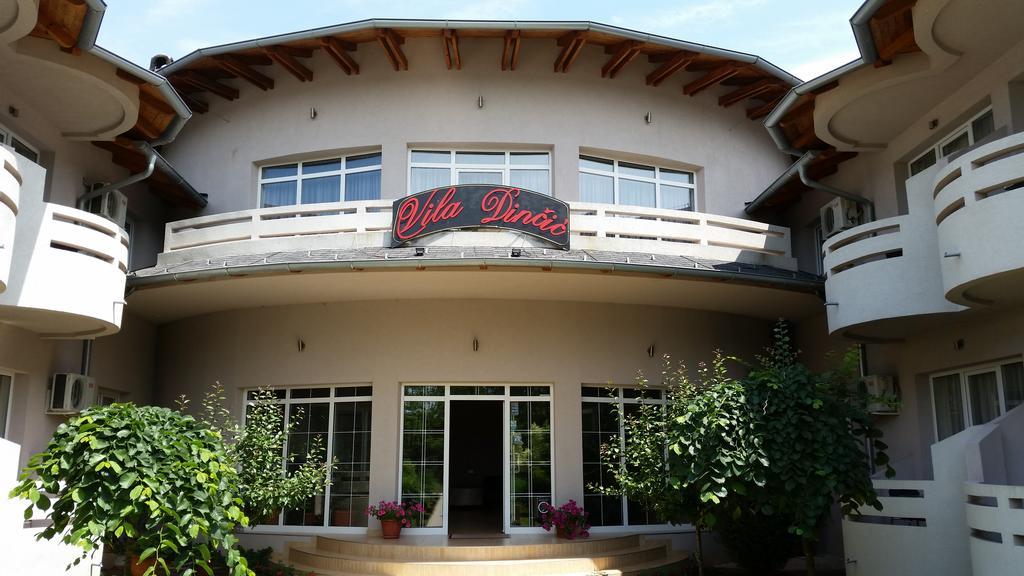 Vila Dincic Veliko Gradište Exterior foto