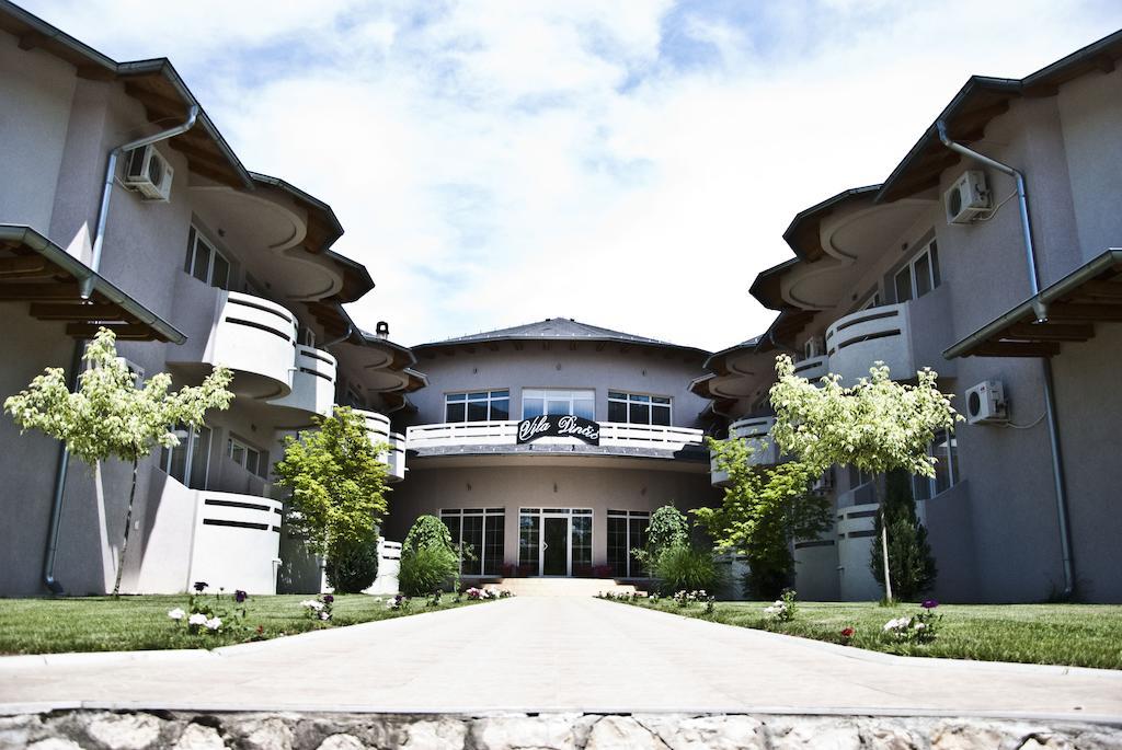 Vila Dincic Veliko Gradište Exterior foto